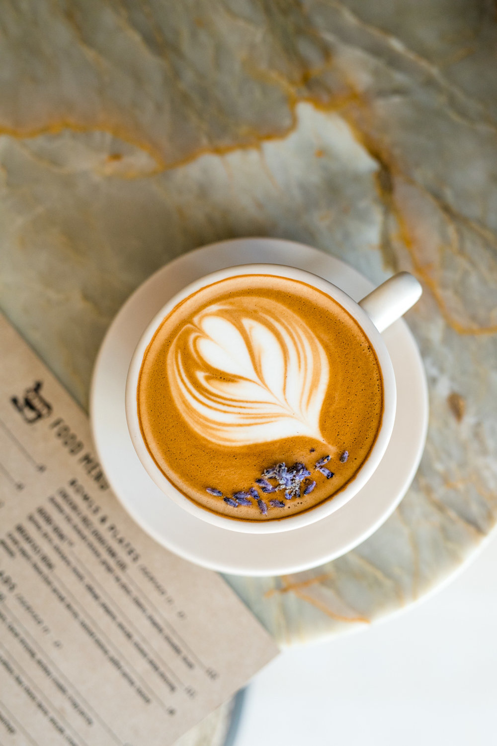 The Daily - Fall 2018 - Lavender Mocha.jpg